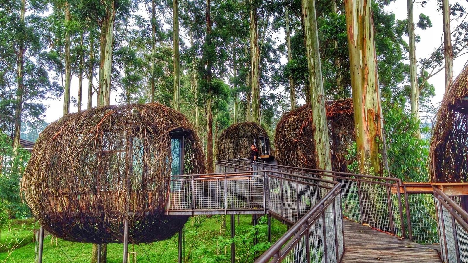 Wisata Alam Di Bandung Yang Instagrammable Opinikoe.id