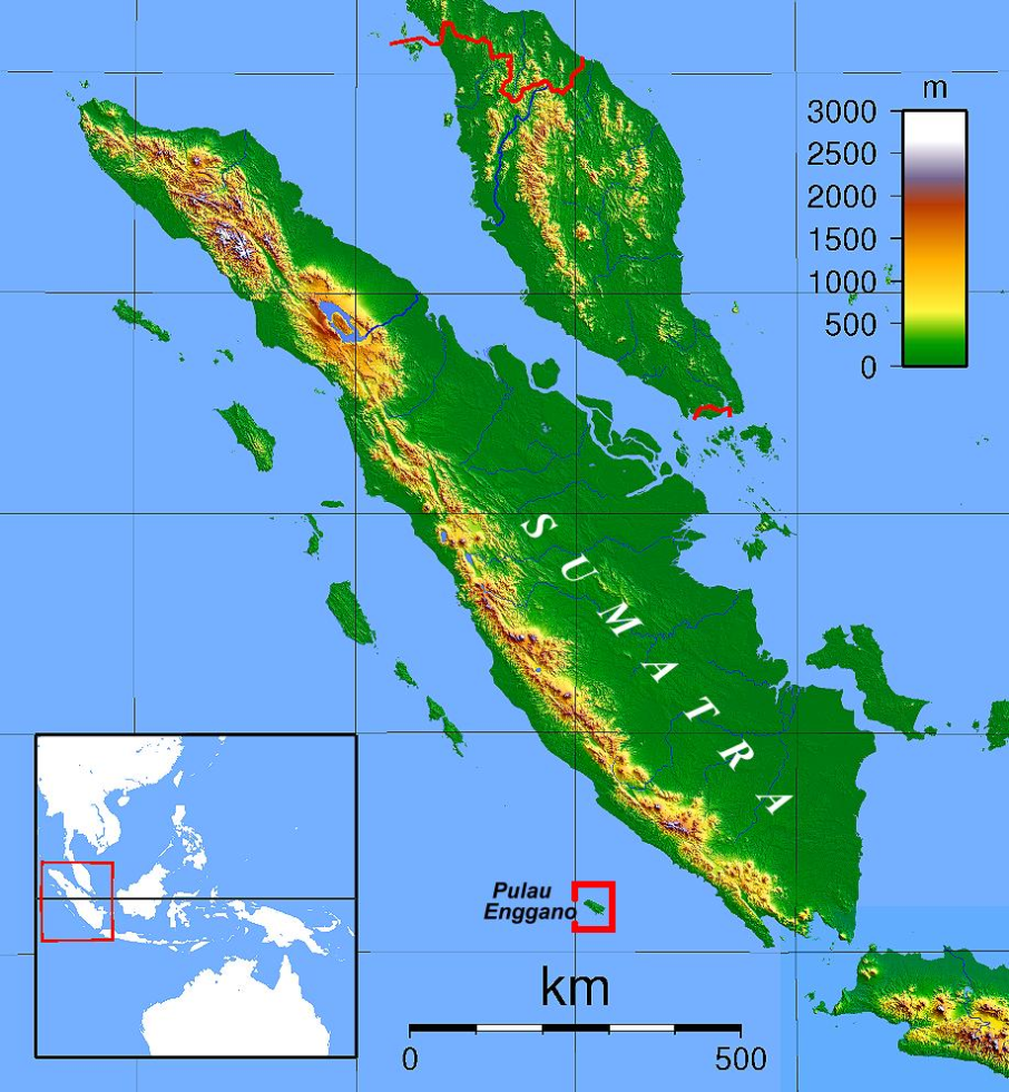 Benarkah Bengkulu Tanah Punt? Spt Cerita Kuil Hatshepsut 2 Benarkah Bengkulu Tanah Punt
