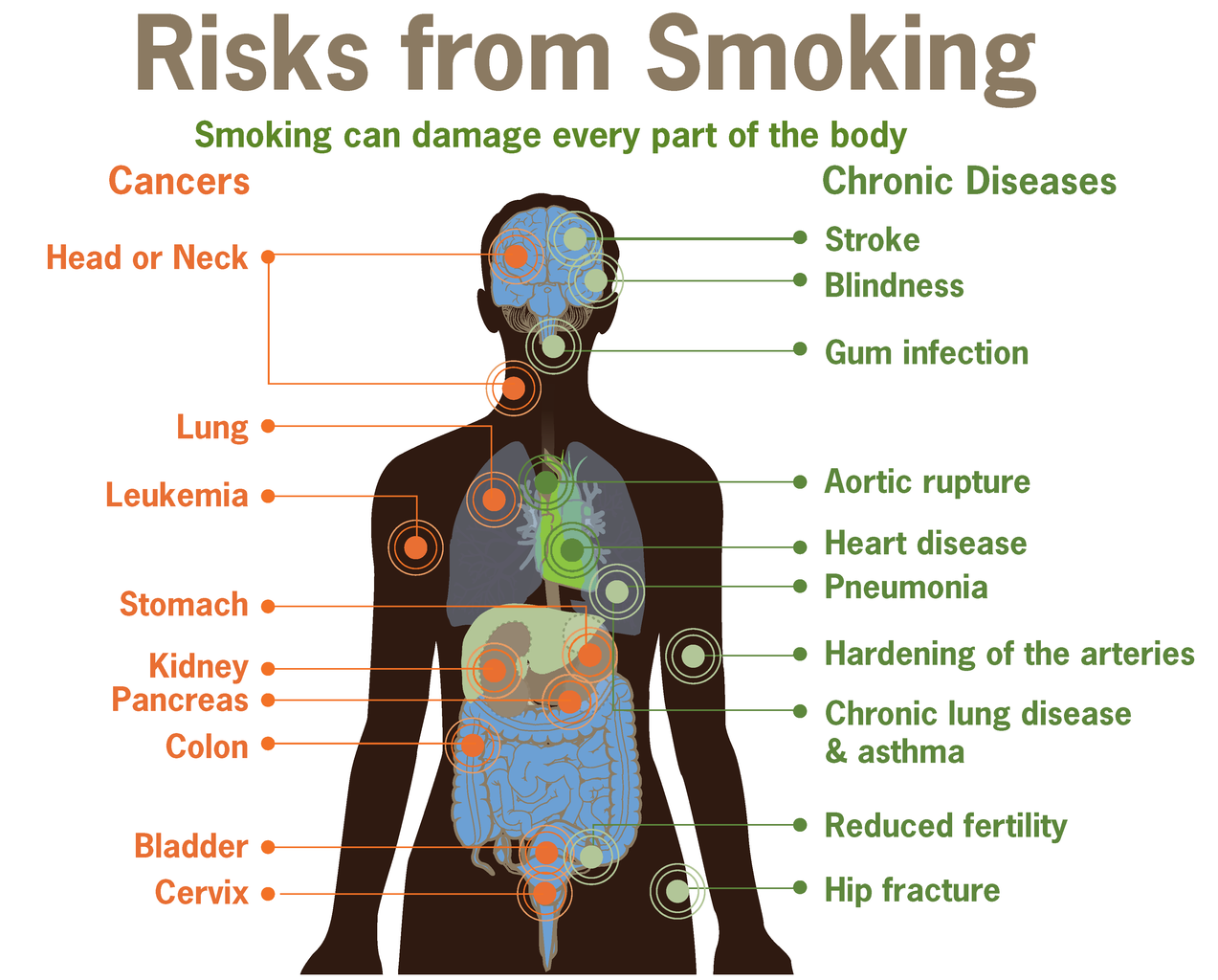10 Manfaat Rokok bagi Kesehatan, yang Harus Anda Tahu 1 10 Manfaat Rokok bagi Kesehatan