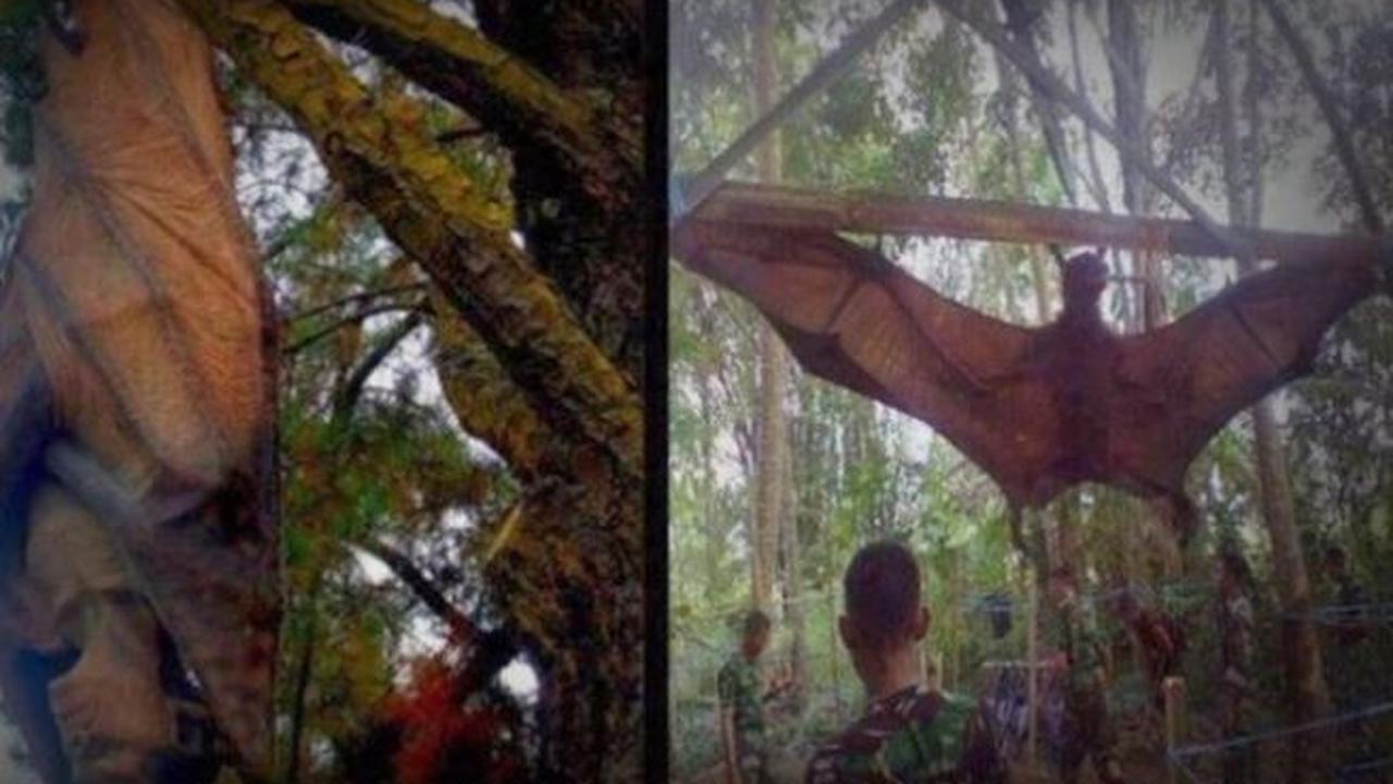 4 Suku Gaib di Indonesia (Hoaks atau Fakta) 4 4 Suku Gaib yang ada di Indonesia