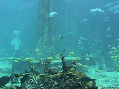 24 Bukti Indonesia Benua Atlantis 2 Indonesia Benua Atlantis