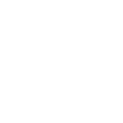 Satisfaction Scores Satisfaction Scores