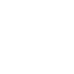 Free Shipping Free Shipping