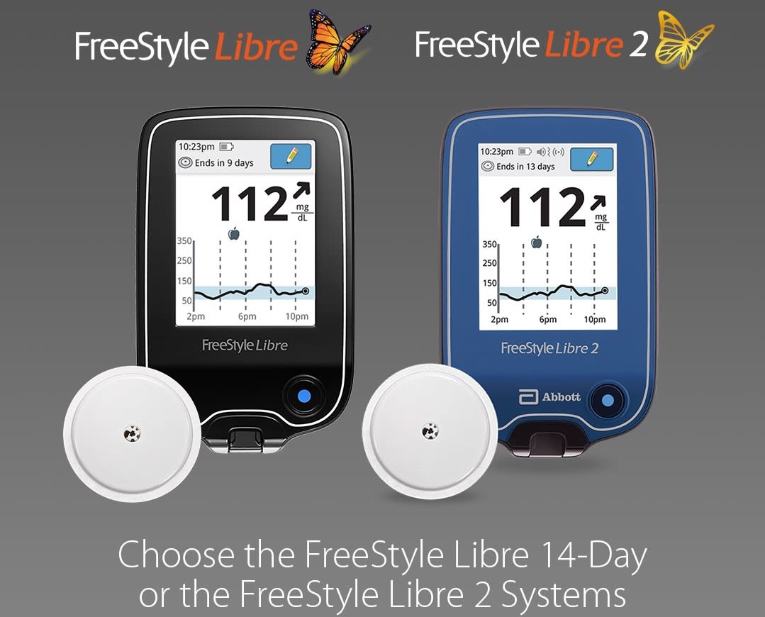 FreeStyle Libre 2 System (CGM)