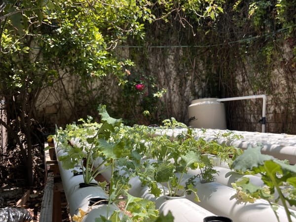 Sustentabilidad y medio ambiente