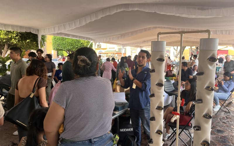 Activaciones hidropónicas en vivo