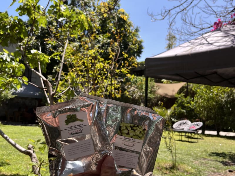Guías de Inicio