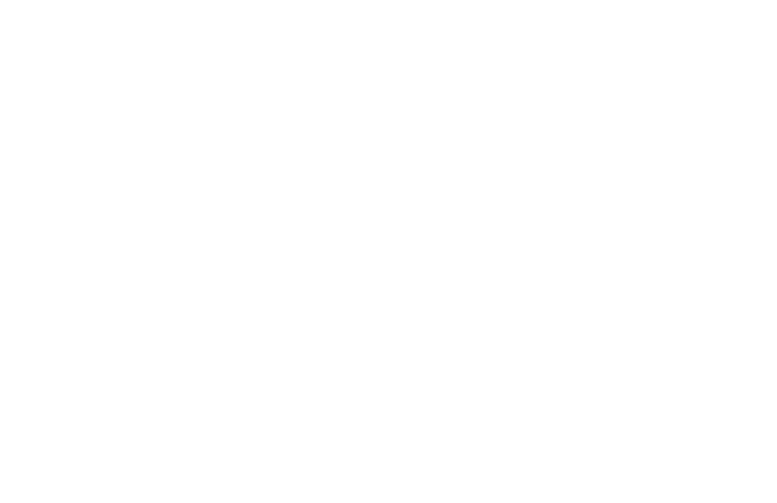 USA Bobsled Skeleton