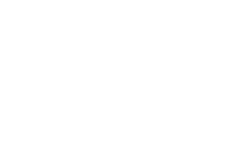 Team USA and USA Team Handball Logos