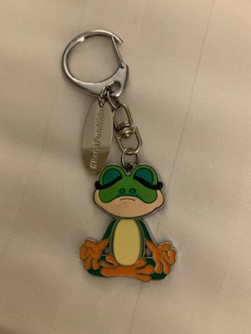 Little Green Frog in the Blog Keychain
