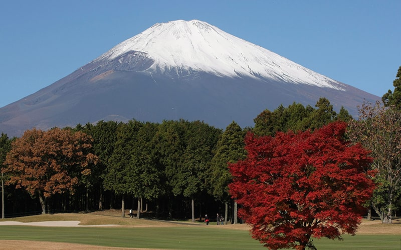 Mt. Fuji in the fall.