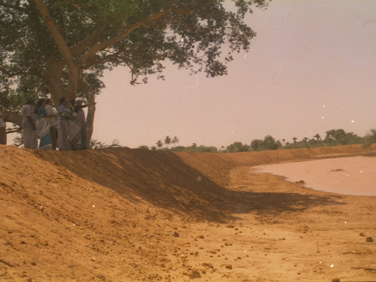 A group standing under a tree on the earth bund of a tank holding shallow water