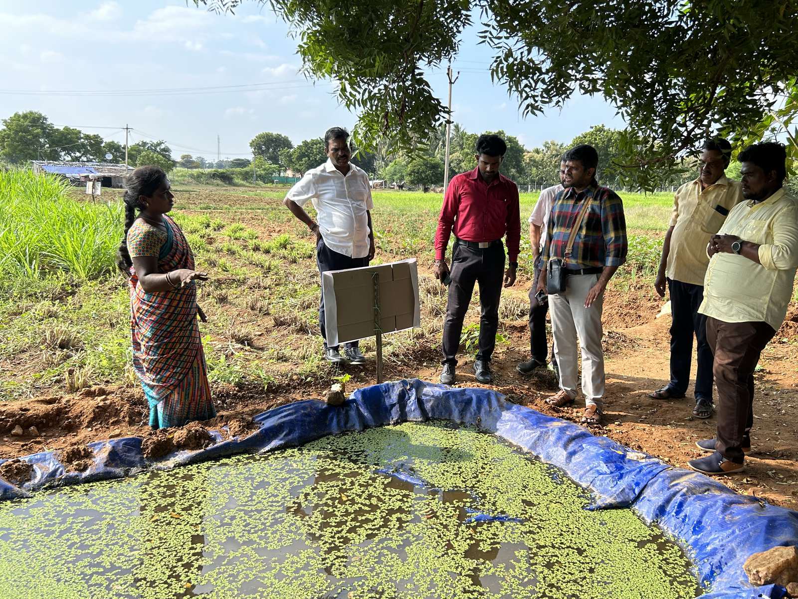 A woman in a saree standing beside a blue-lined pond covered in green azolla, with five men standing on the far bank and a small display board between them