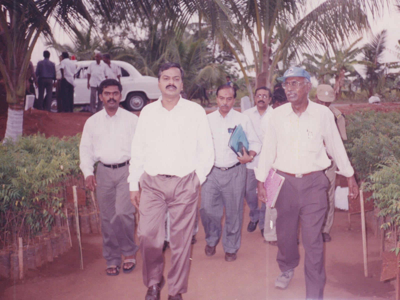 A group of men in shirts and trousers walking along a sandy path lined with rows of potted saplings, vehicles parked under palms behind them