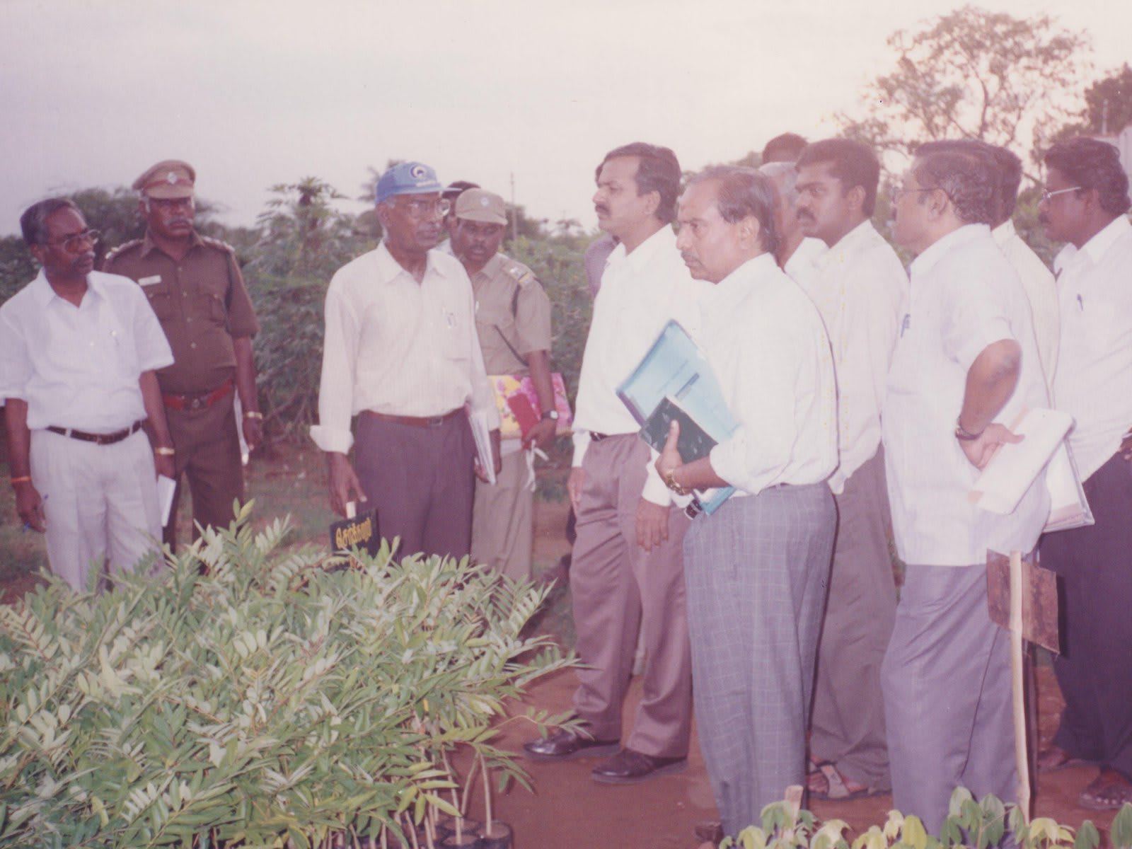 A line of men in shirts standing at the edge of a plot of young leafy saplings, one in police uniform among them