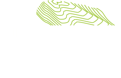 Trail Verbier St Bernard by UTMB