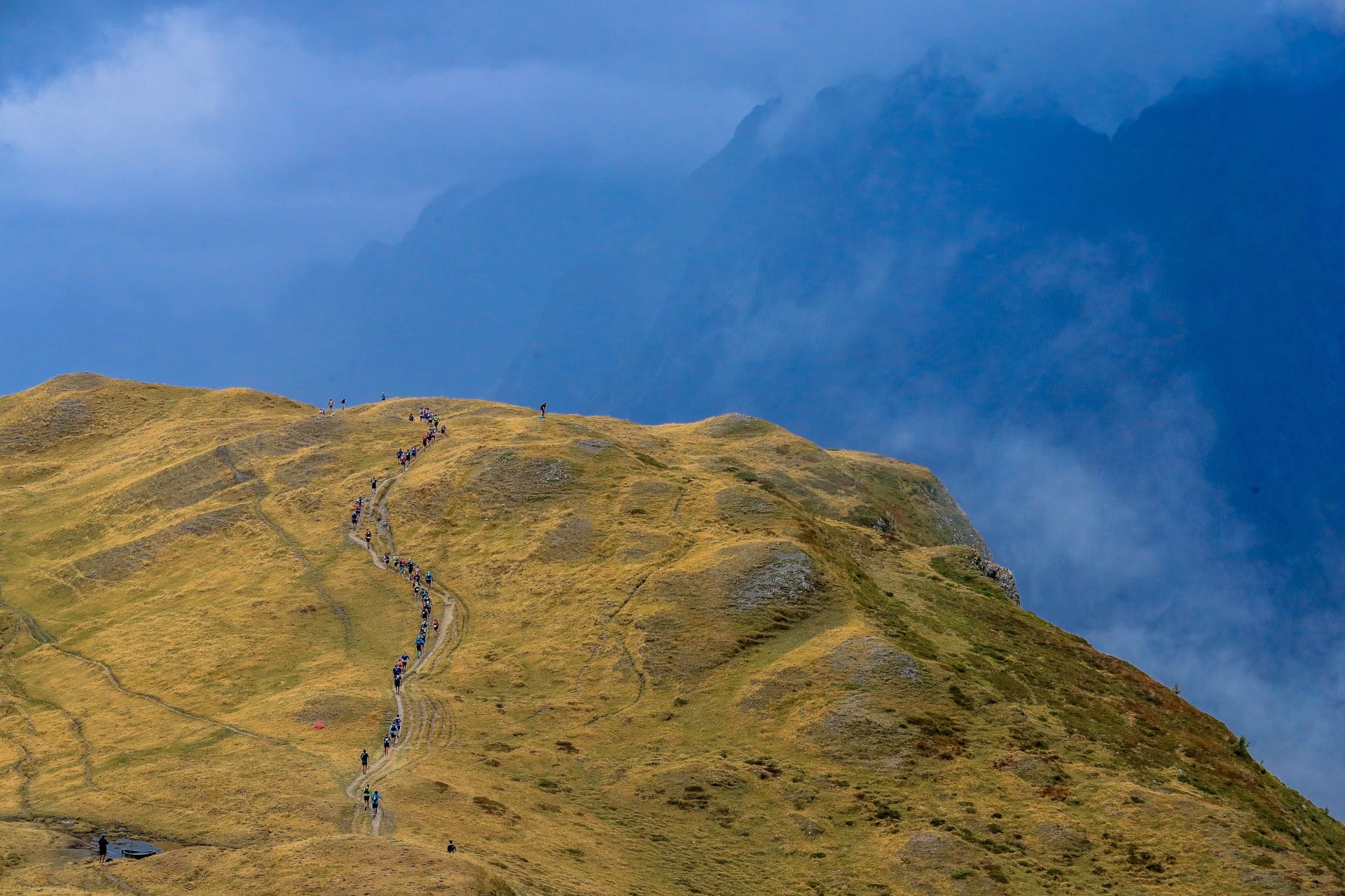 Utmb elite runners 219 discount