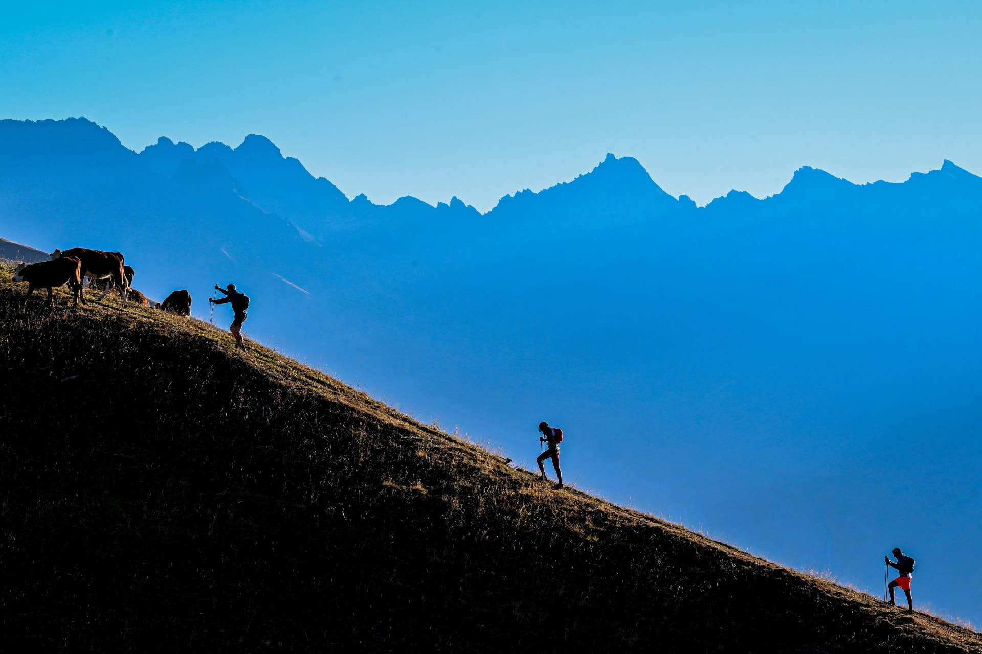 Summit Mont Blanc