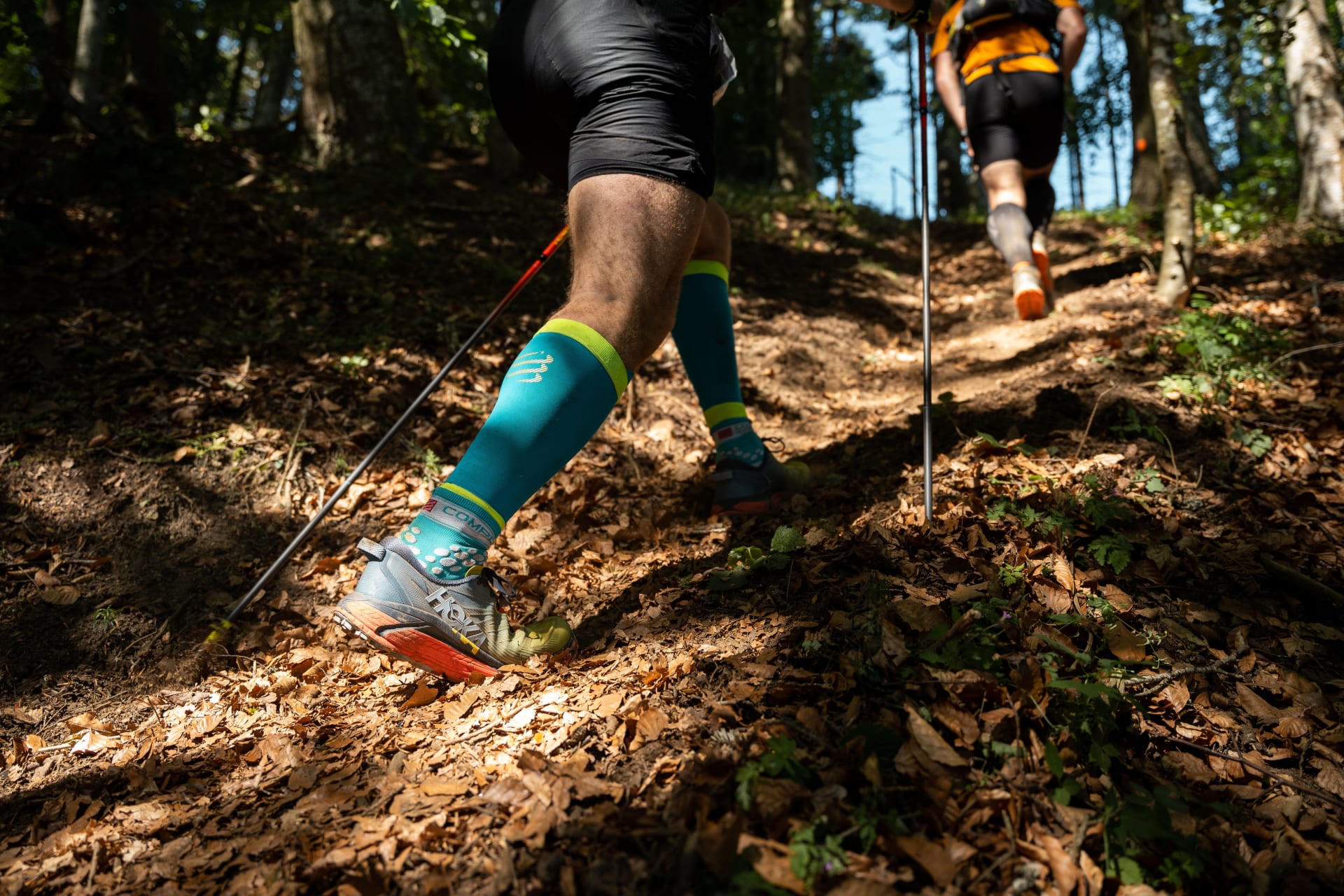 Site online trail running