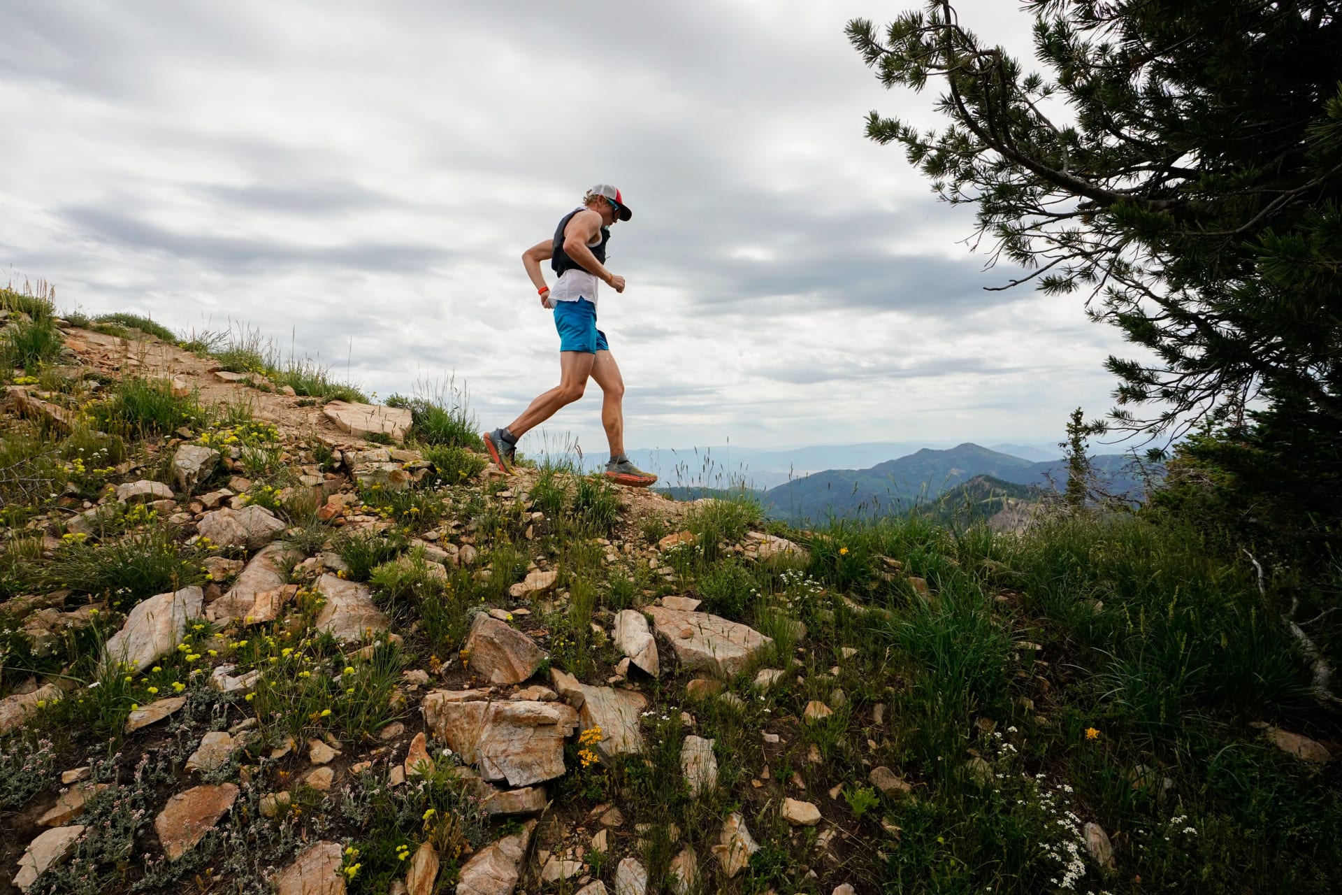 List of races
