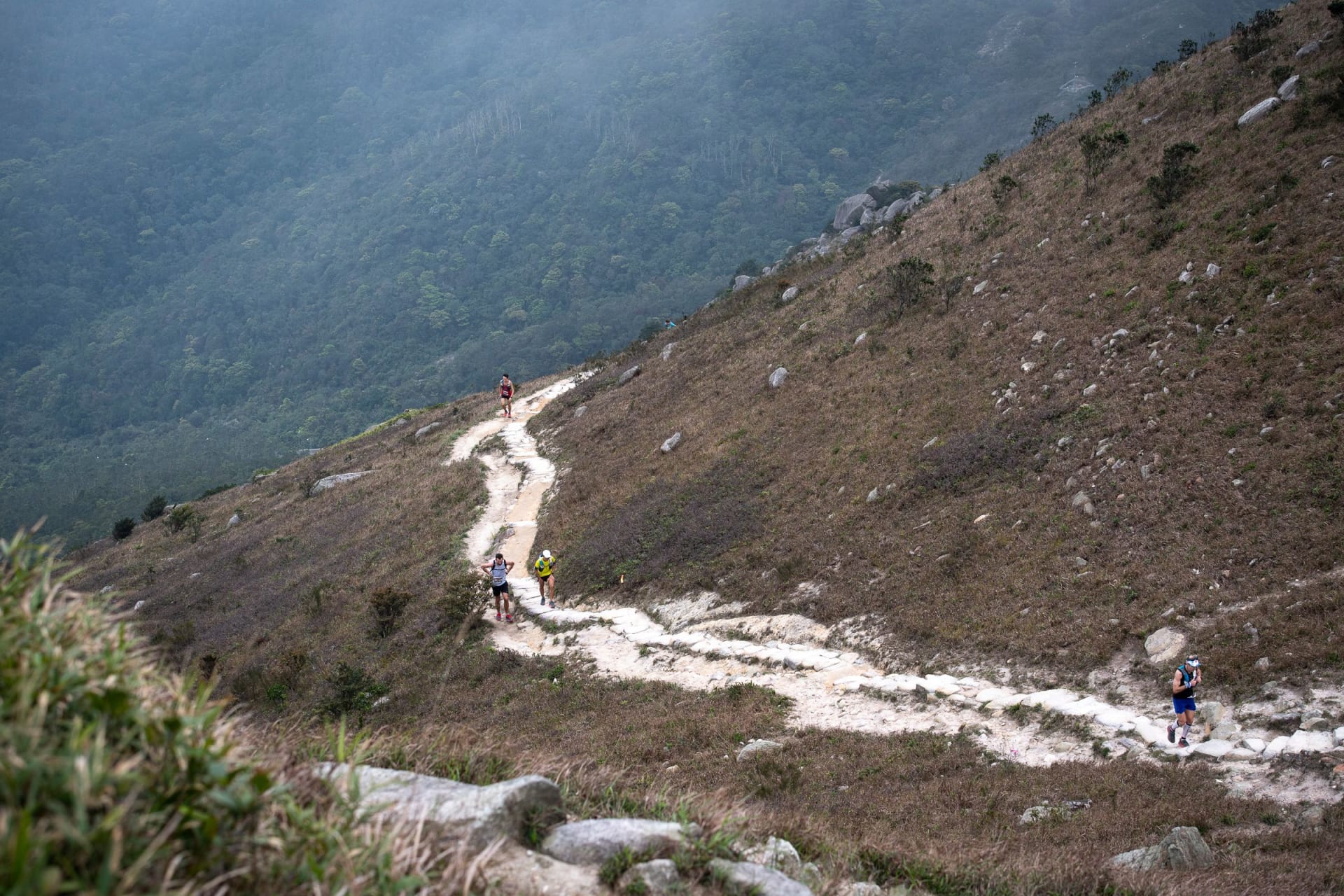 TransLantau agenda