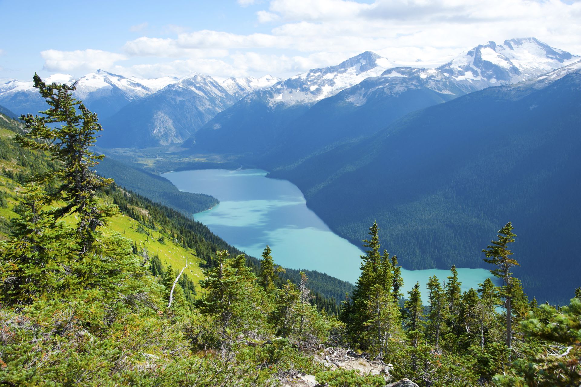 Trail best sale running community