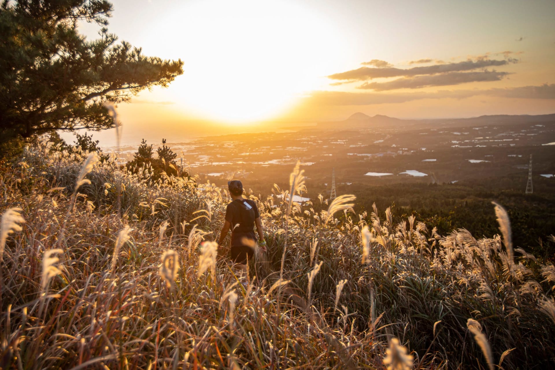 Transjeju by UTMB