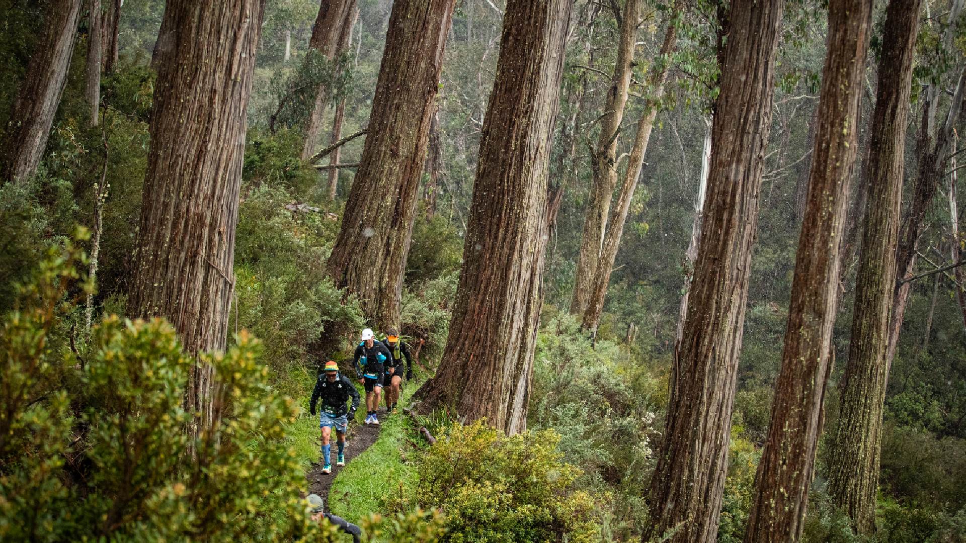 WOOD KOSCIUSZKO BY UTMB