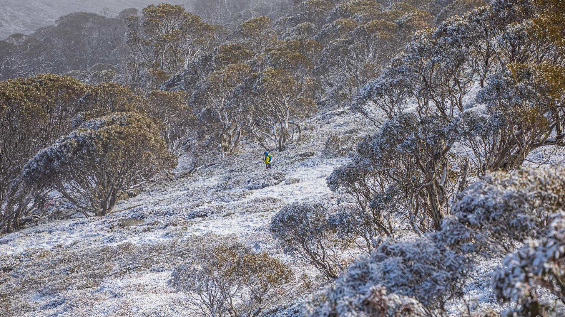 SNOW KOSCIUSZKO BY UTMB