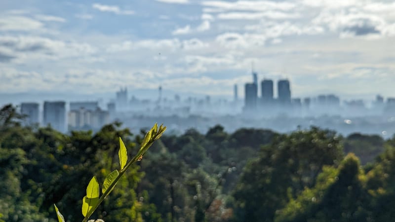 Ahmad Ameer Hakim MOHD YUSOF
