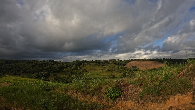 Claudio De Lima ALMEIDA FILHO