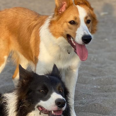 Francisco ORTEGA GARCIA