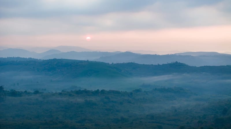 Tiến ĐỨC (Tien DUC)
