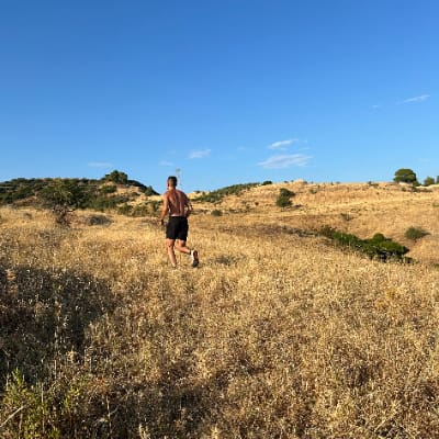 Stefano Andrea ZERBINO