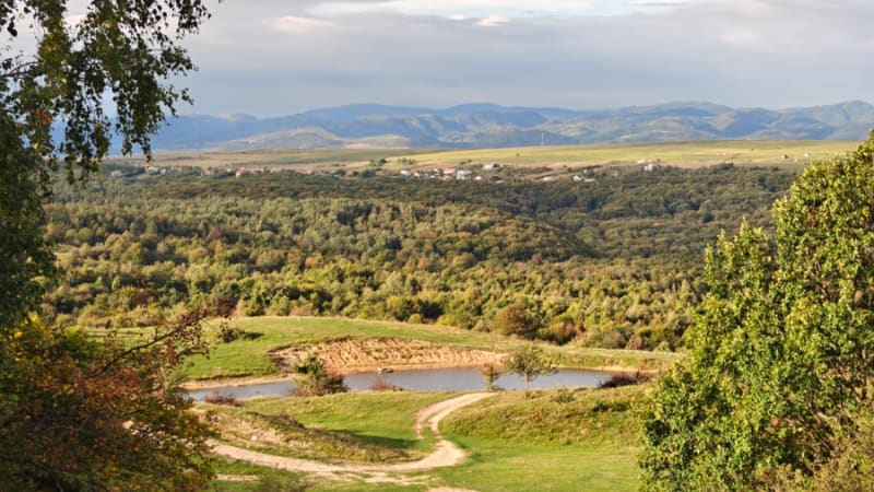 Adriana Laura ROȘEAN