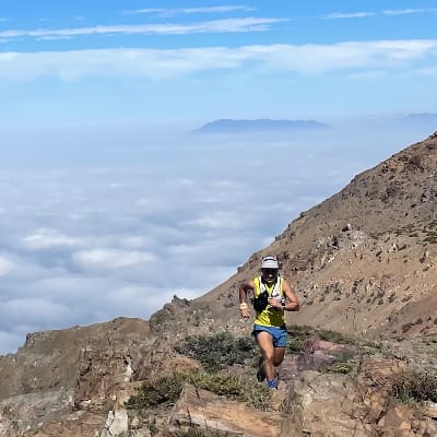 Jean Michel ASPEE ASQUET