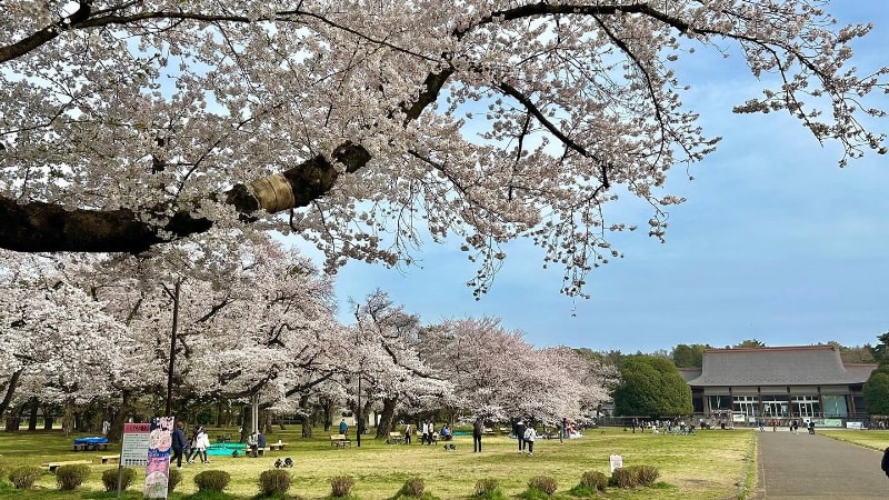 Kenichi YAMASHITA