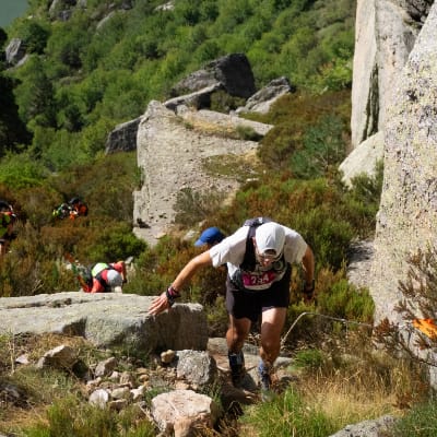 Francisco Jose VISERAS SERRANO