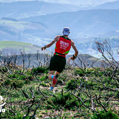 David GUEDELHA GARCIA