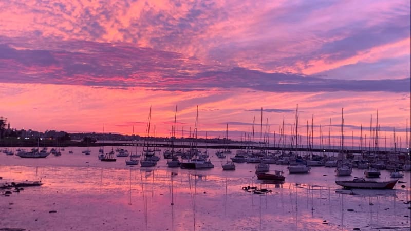 Romina Gisela NAVARRO