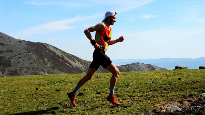 David GUEDELHA GARCIA