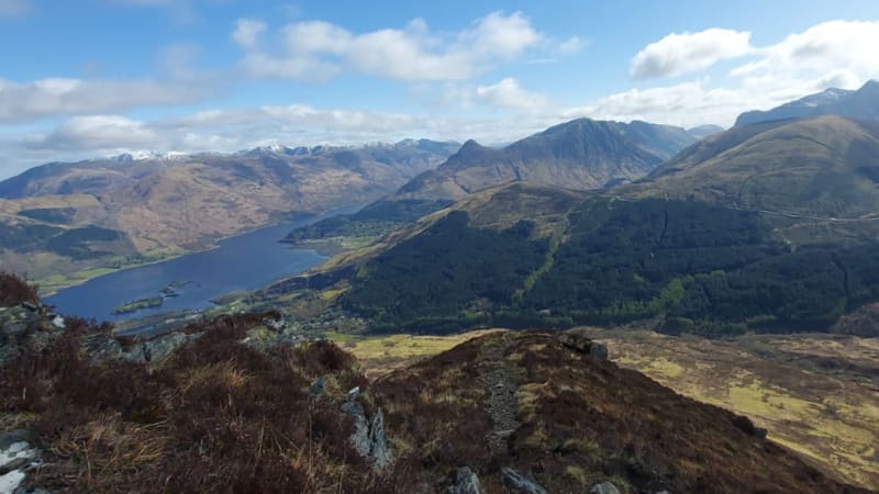 Miranda VAN DER KOOIJ