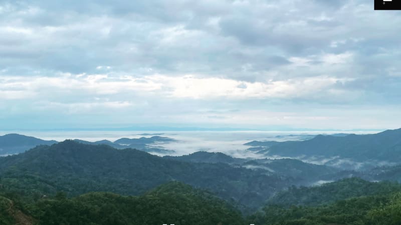 Songphol PHIMPRASANT