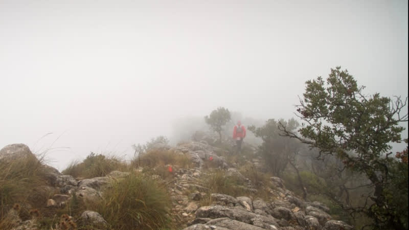 Alejandro LOPEZ NICOLAS