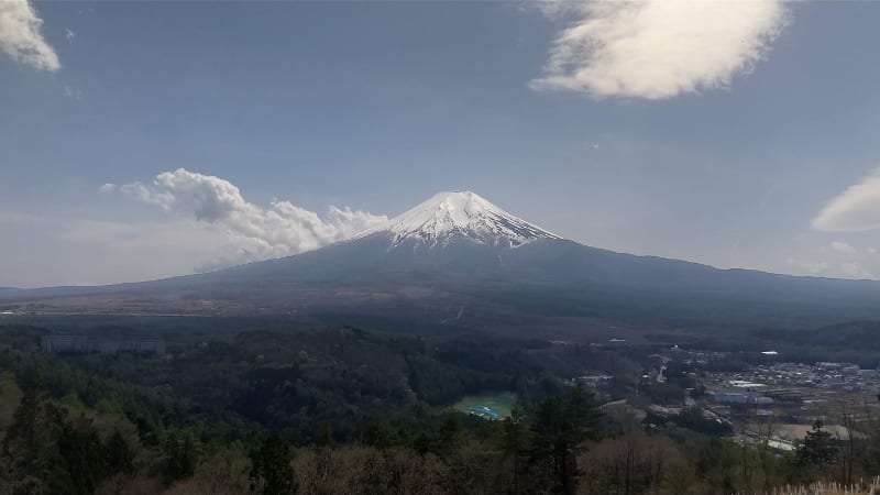 Shinobu MUKAIYAMA