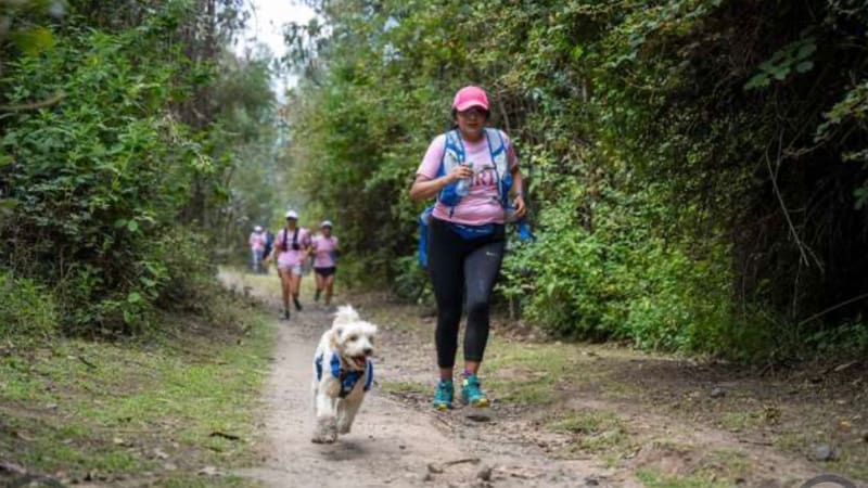 María Cristina CHANGOLUISA CAMACHO