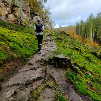 Razvan Cristian LUNCA