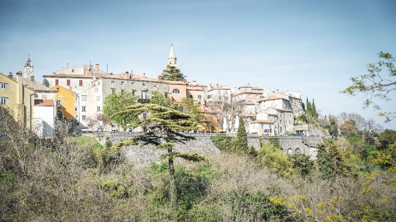 Jean-François SURET