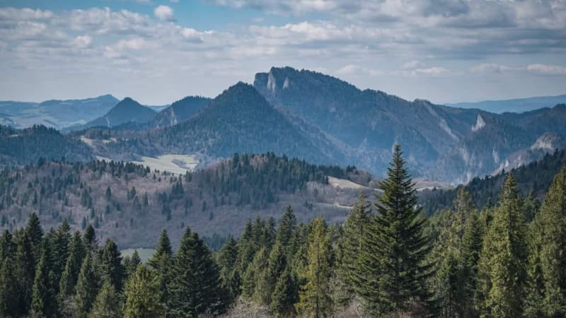 Przemyslaw GRYNAGIEL