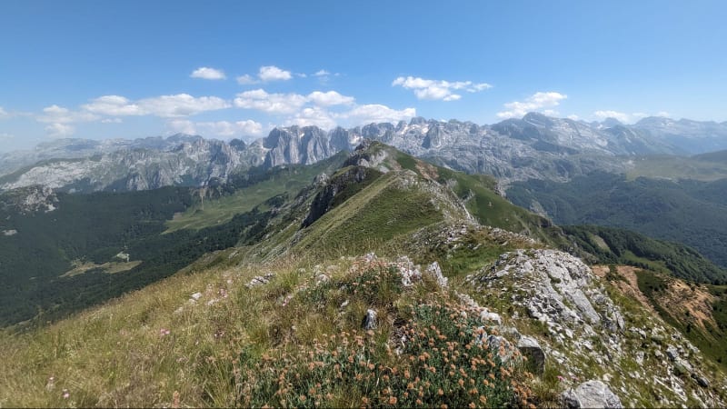 Romana RUDOLF LOJKOVA